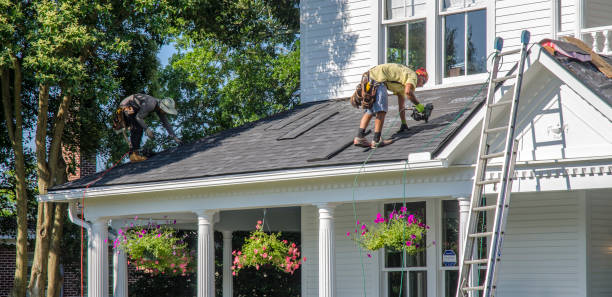 Best Roof Maintenance Services  in Loudoun Lley Estates, VA